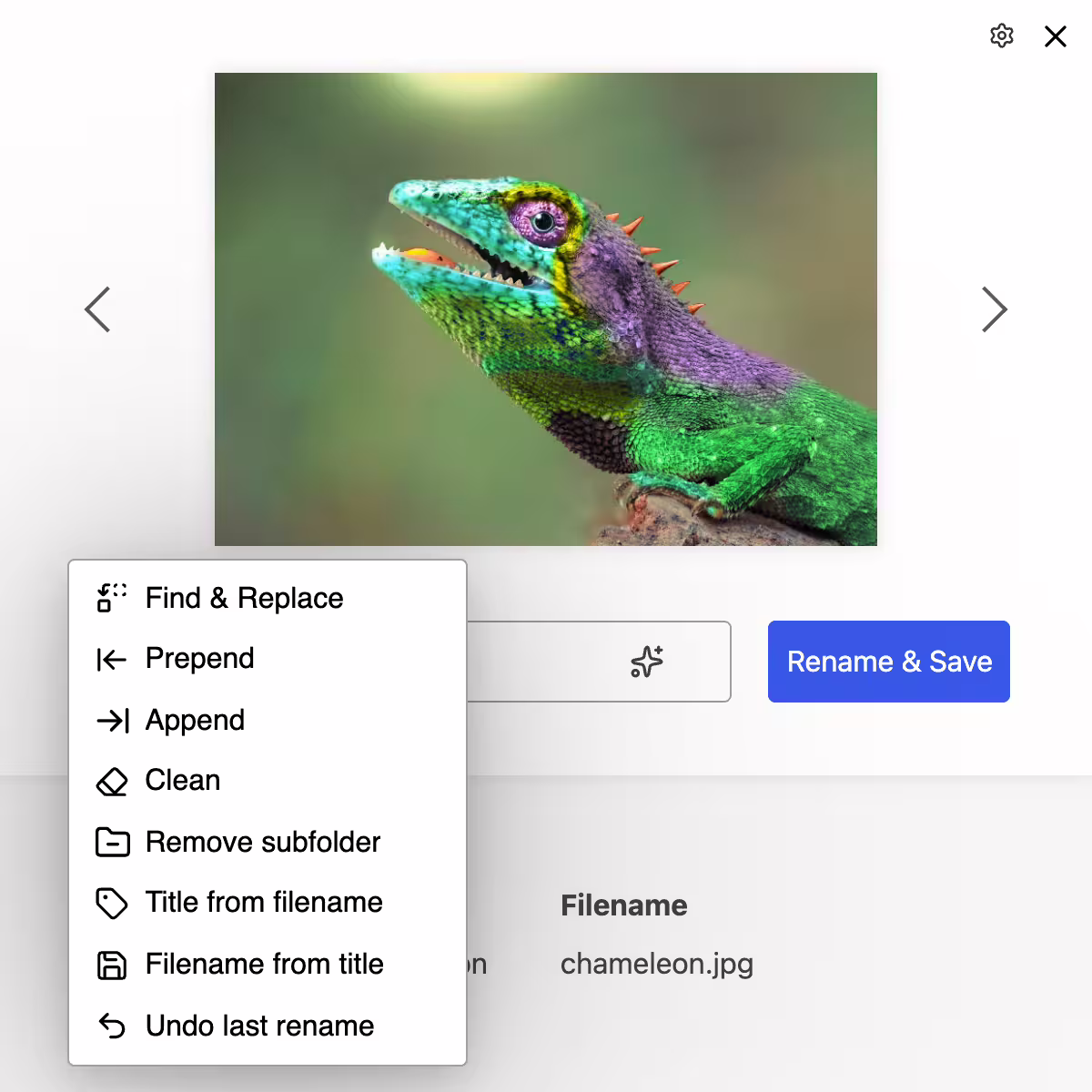 Rechercher & remplacer (Regex), préfixe, suffixe, nouveau nom, supprimer, nettoyer, supprimer les sous-dossiers, titre depuis le nom de fichier, ...