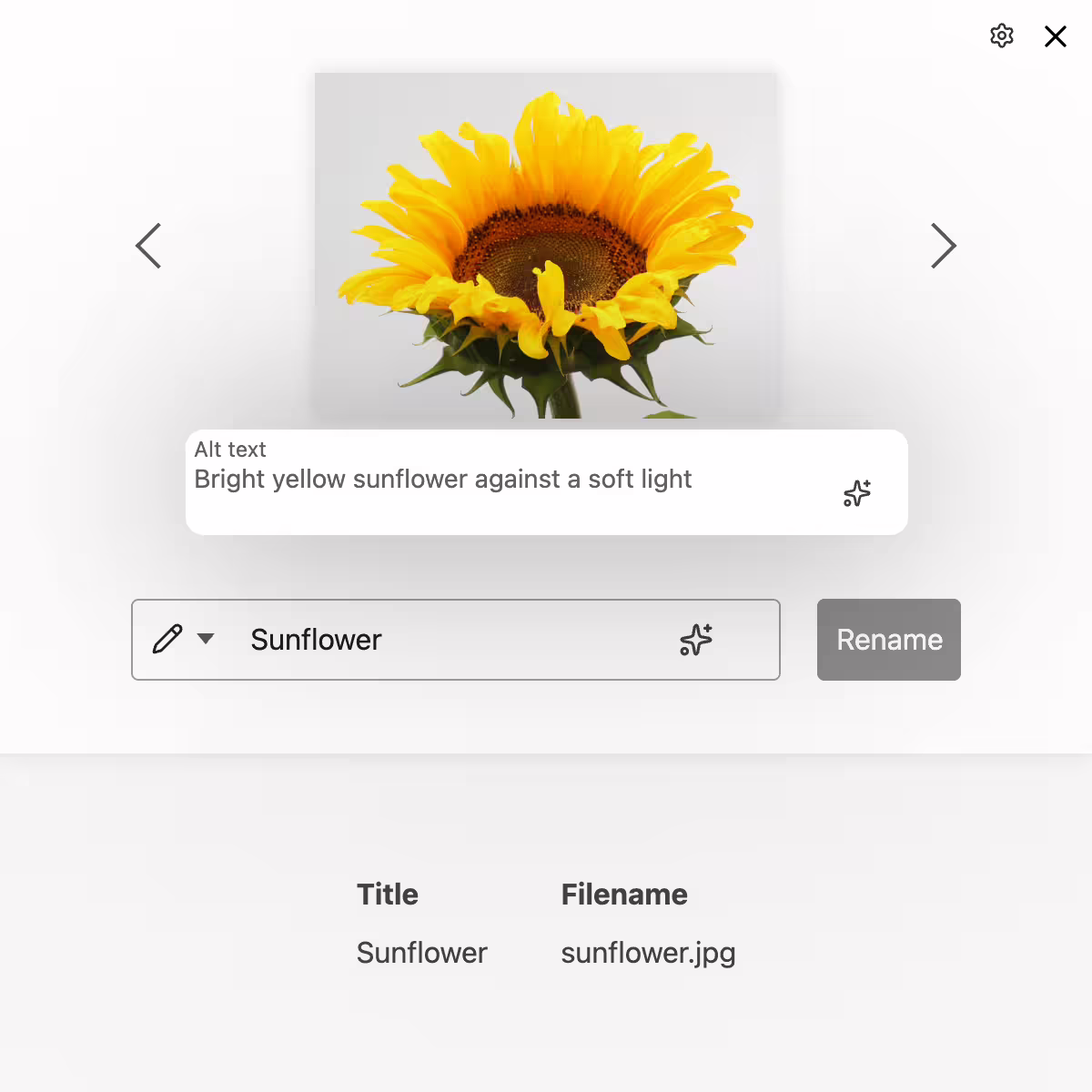 Textes alternatifs générés par IA basés sur le contenu de l'image et le contexte de la page où l'image est utilisée