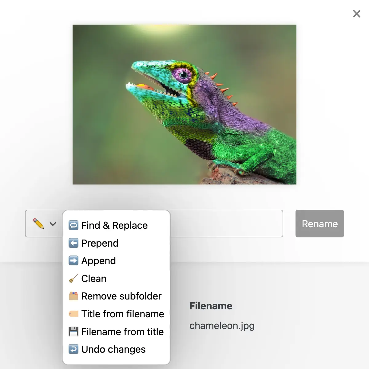 Find & Replace (Regex), prefix, suffix, new name, remove, clean, remove subfolders, title from filename, ...