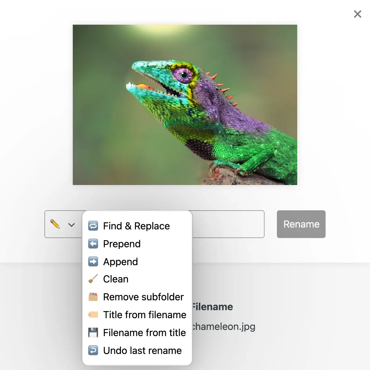 Find & Replace (Regex), Prefix, Suffix, New Name, Remove, Clean, Remove subfolders, Title from filename, ...