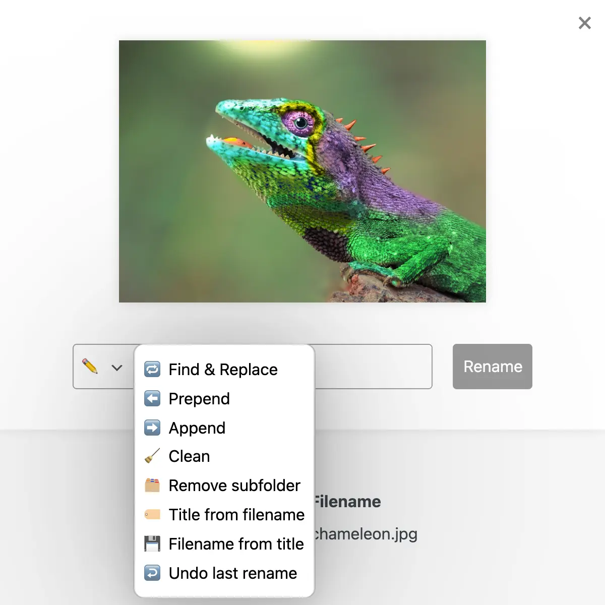 Find & Replace (Regex), Prefix, Suffix, New Name, Remove, Clean, Remove subfolders, Title from filename, ...
