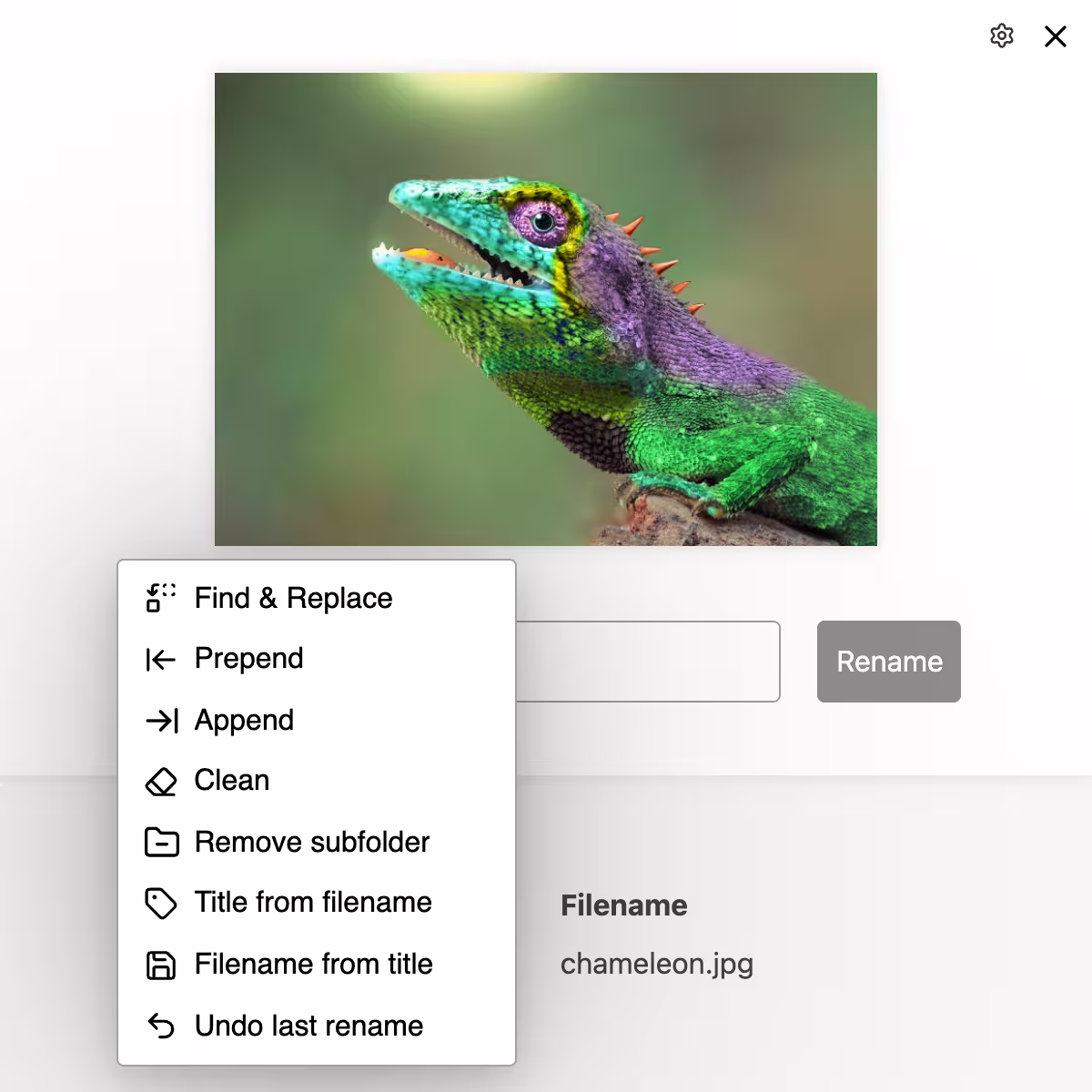 Find & Replace (Regex), Prefix, Suffix, New Name, Remove, Clean, Remove subfolders, Title from filename, ...