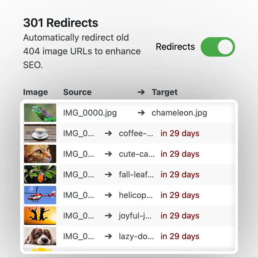 Automatically generated 301 redirects for SEO-friendly media renaming and a button for the undo function
