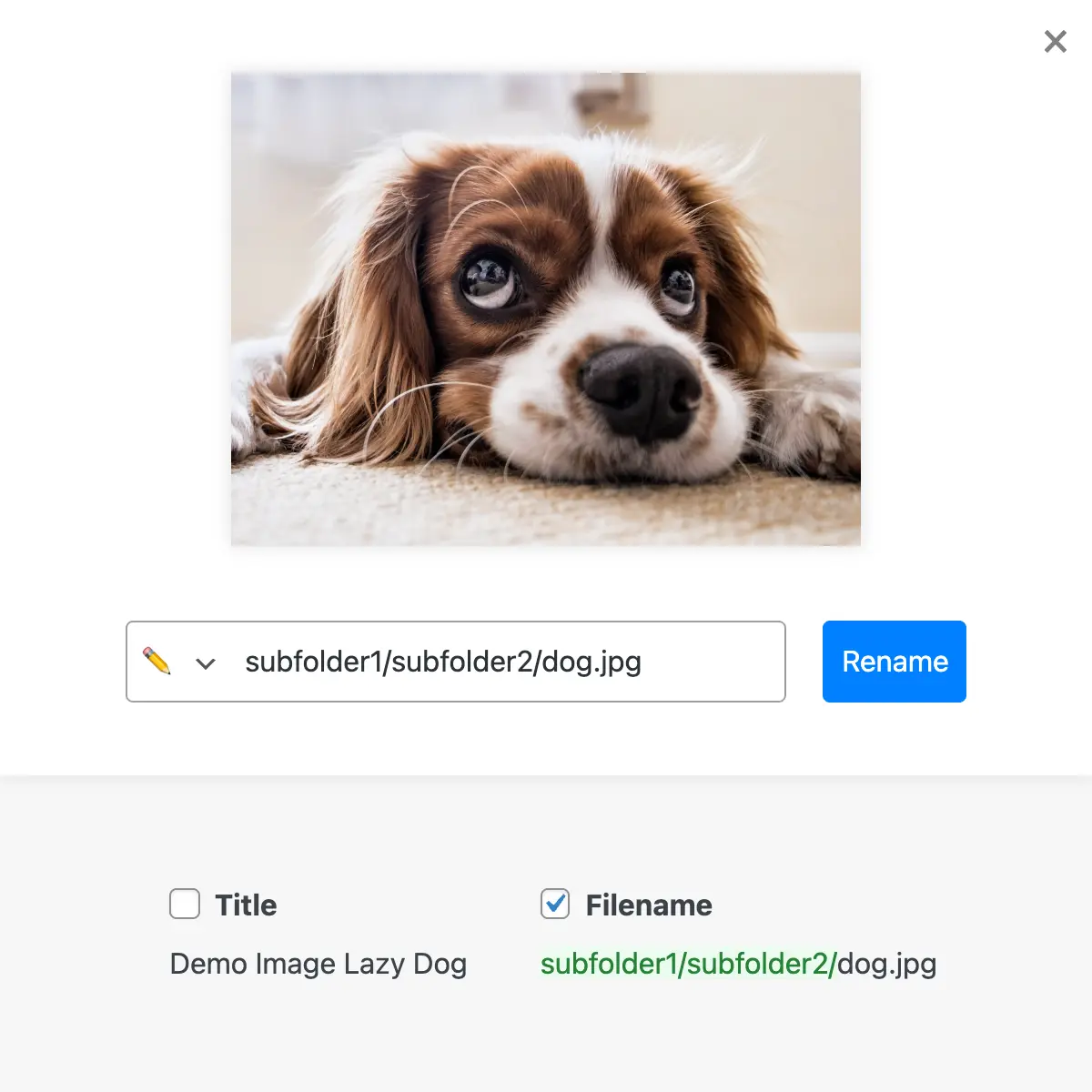 Move images into subfolders by entering "/" in the image title (e.g. events/teamevent/image.jpg)