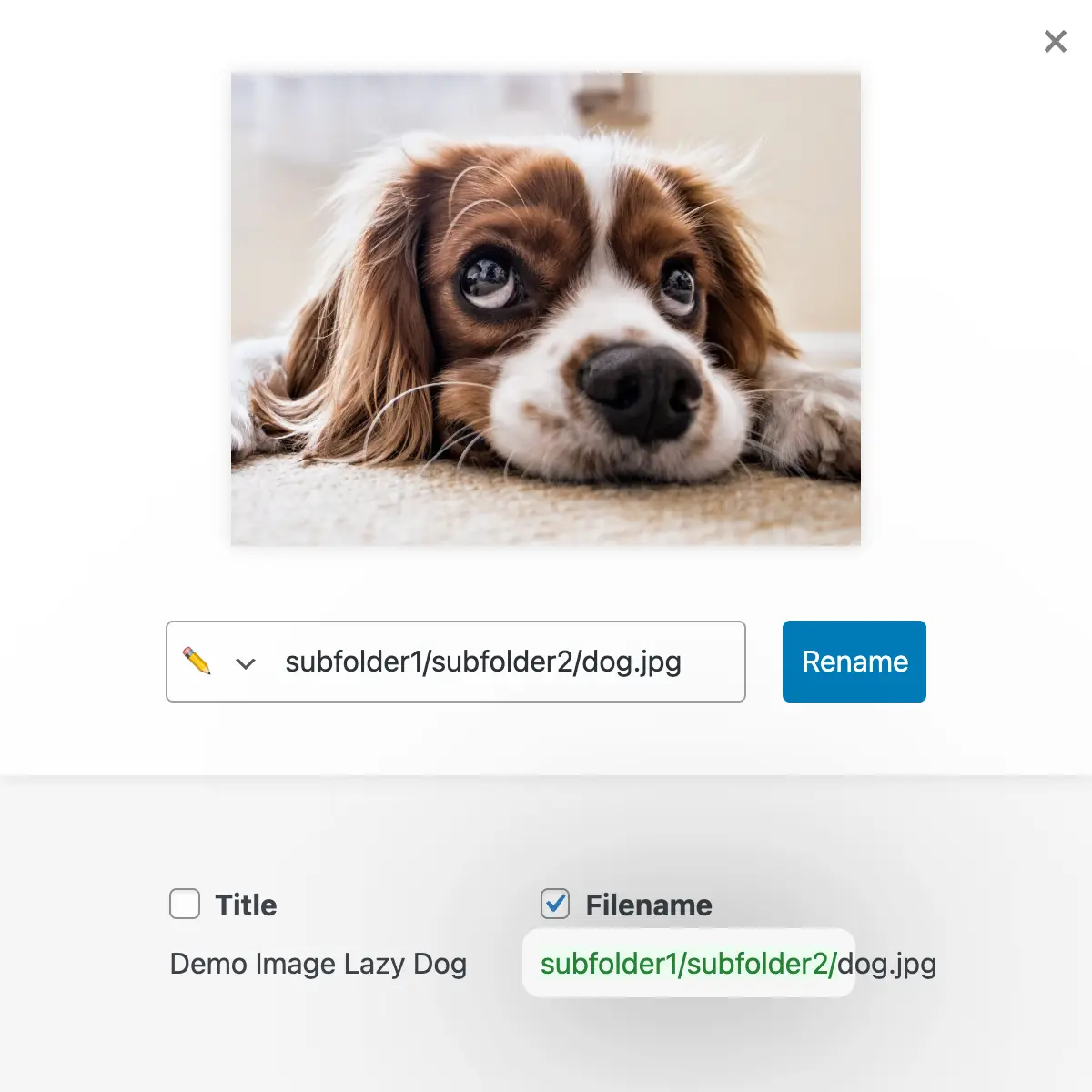 Move images into subfolders by typing ”/” in the image title (e.g. events/teamevent/image.jpg)