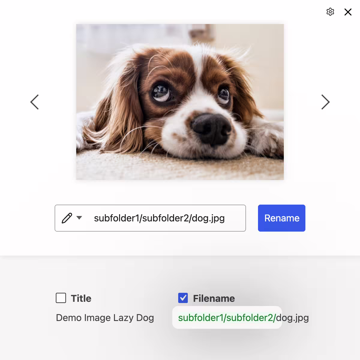 Move images into subfolders by entering ”/” in the image title (e.g. events/teamevent/image.jpg)