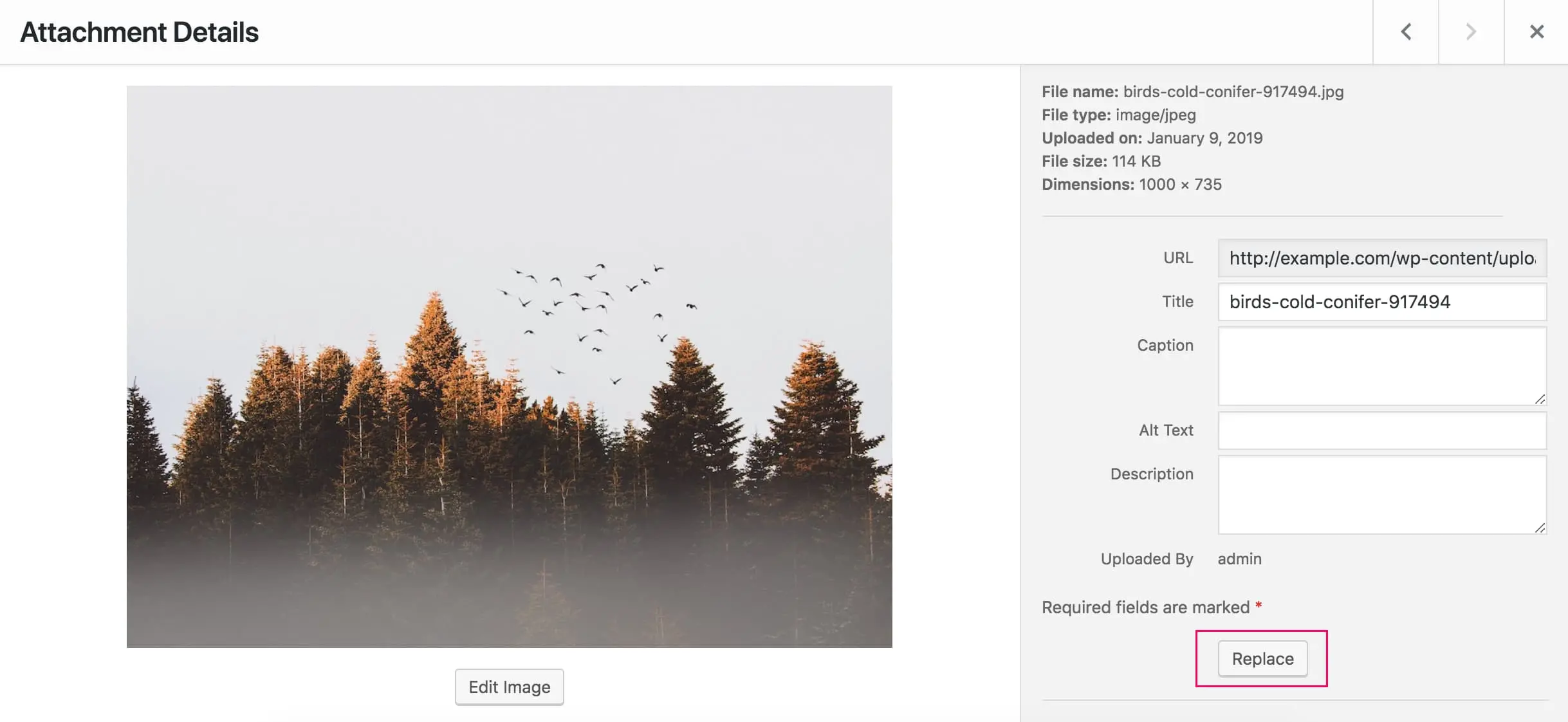 Capture d  cran du plugin WordPress easy-media-replace sur le th me : image, picture, replace, replace file, replace image