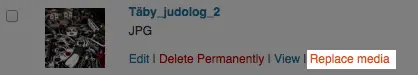 Captura de pantalla del plugin de WordPress enable-media-replace sobre el tema: change media, remove background, replace, replace image, replace jpg