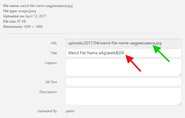 Screenshot of the WordPress plugin file-renaming-on-upload about: characters, media, rename, renaming, seo