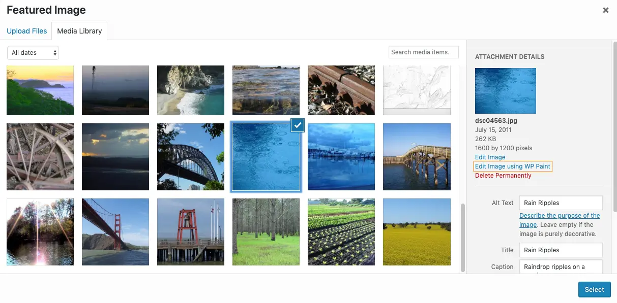 Screenshot of the WordPress plugin wp-paint on the topic: Image editor, media, media editor, photo, photo editor